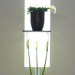 Vase mit Lichtspalt